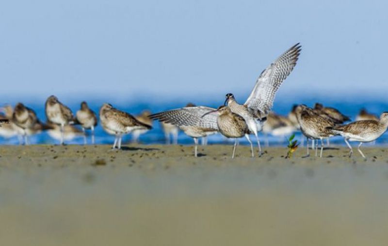 Jamnagar, Narara Marine National Park