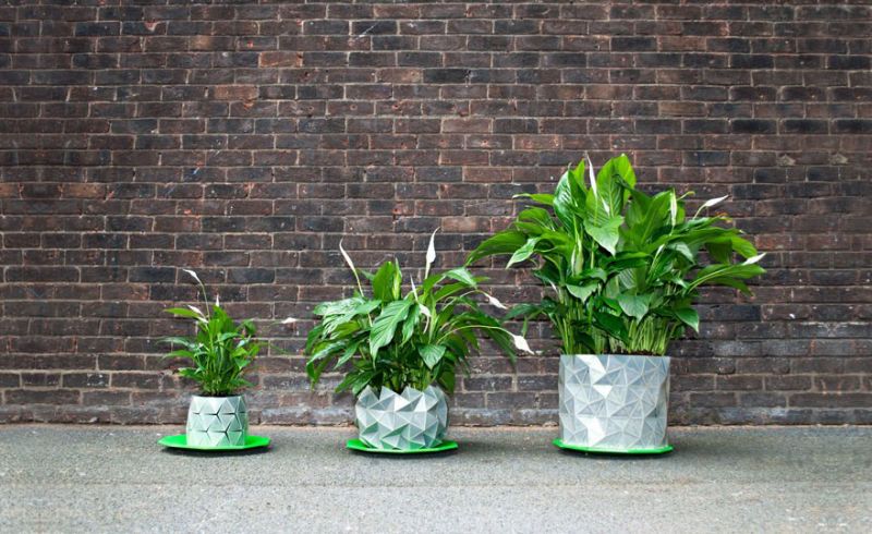 Plant Pot Plant Pot