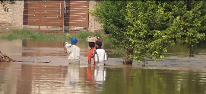 Floods in jalandhar