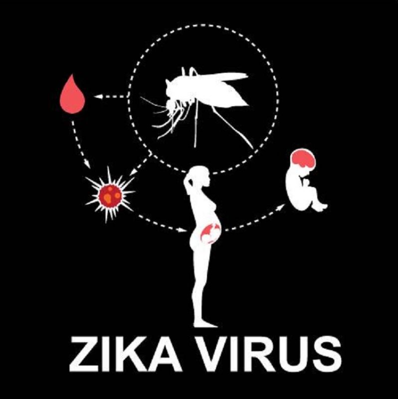 How Zika Effects