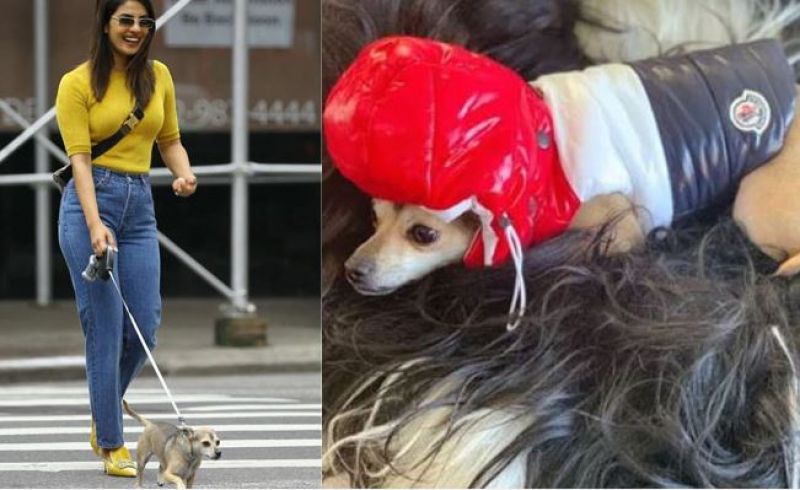 Priyanka and her pet 