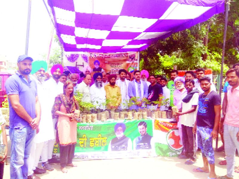 Congress workers distributing saplings