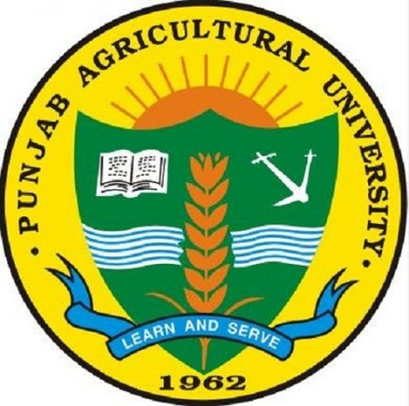 punjab agricultural university