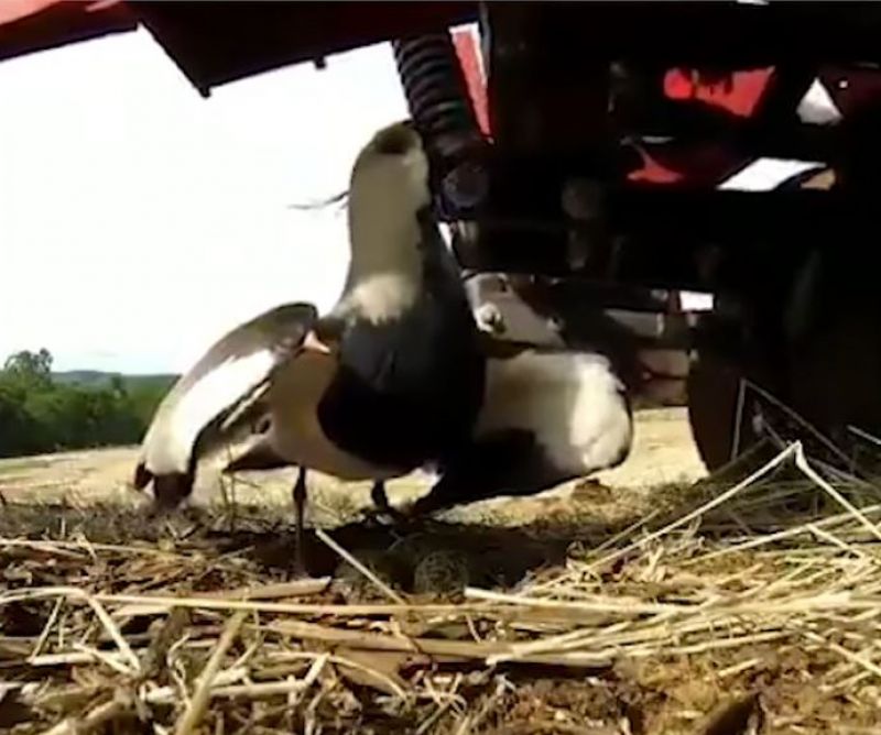 ੍ੇੇਿ ੍ੇੇਿ