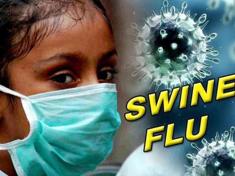 Swine Flu Swine Flu