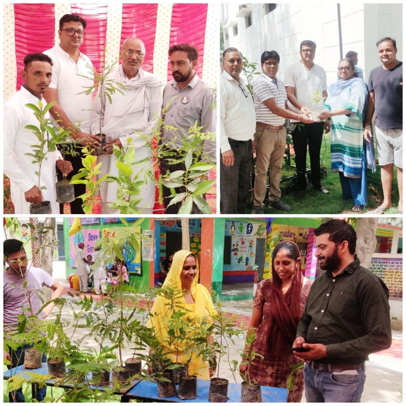 Saplings are presented to citizens for casting their votes 