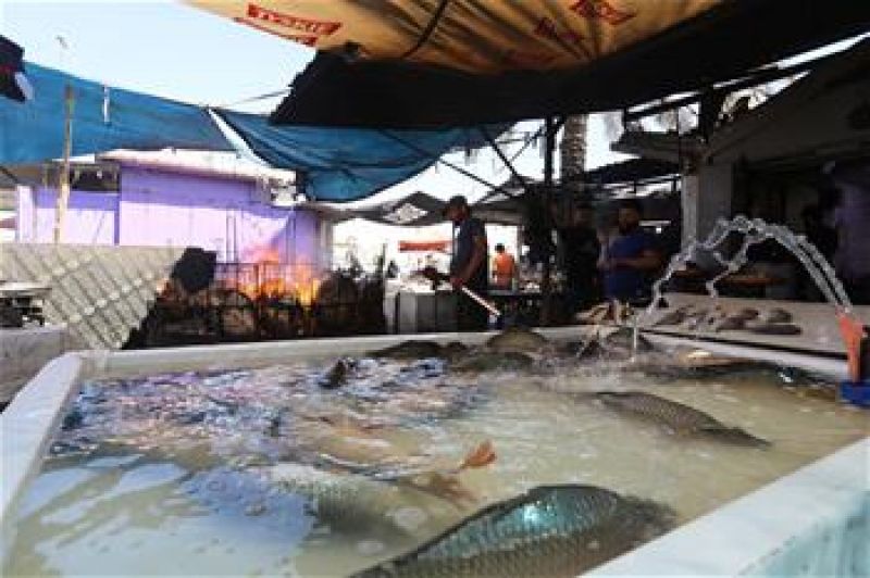 3 killed, 43 injured in Afghanistan car bomb blast