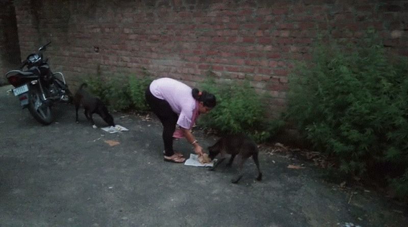 Gursikh family relies on speechless, unique initiative to take care of homeless