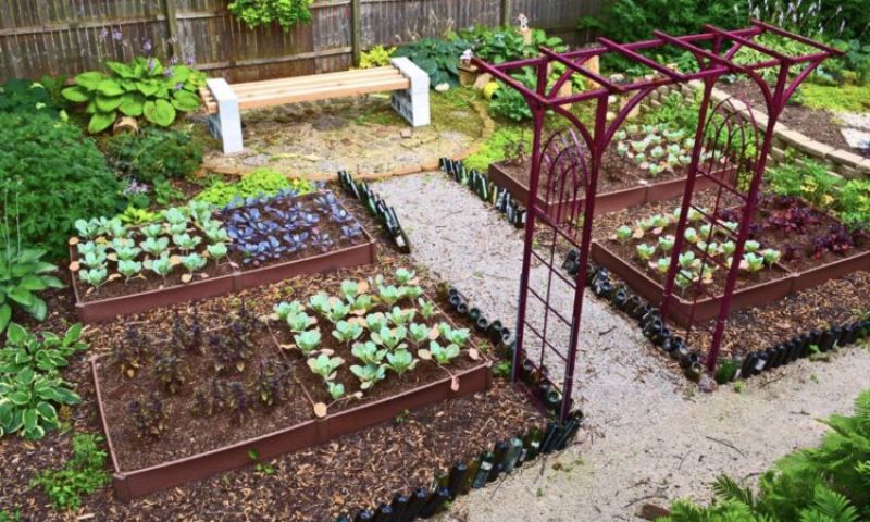 Garden Garden