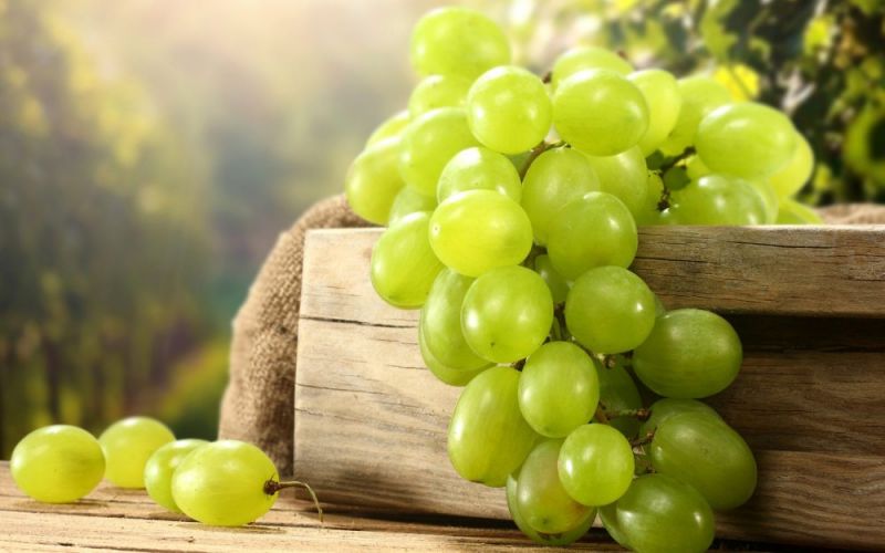 Grapes
