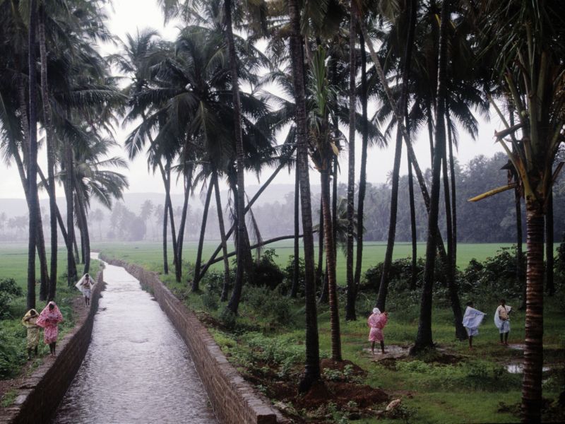 Flood-like situation in Goa due to heavy rains