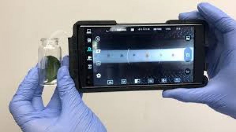 Smartphone device identifies plant diseases