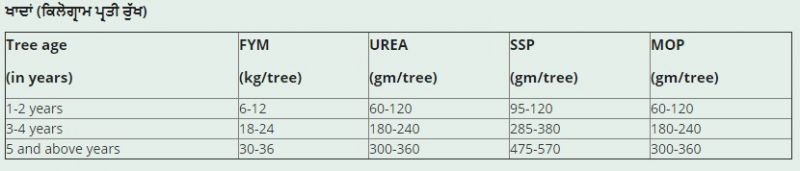 File Photo  File Photo