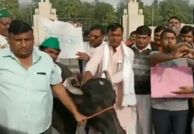 Farmers Protest