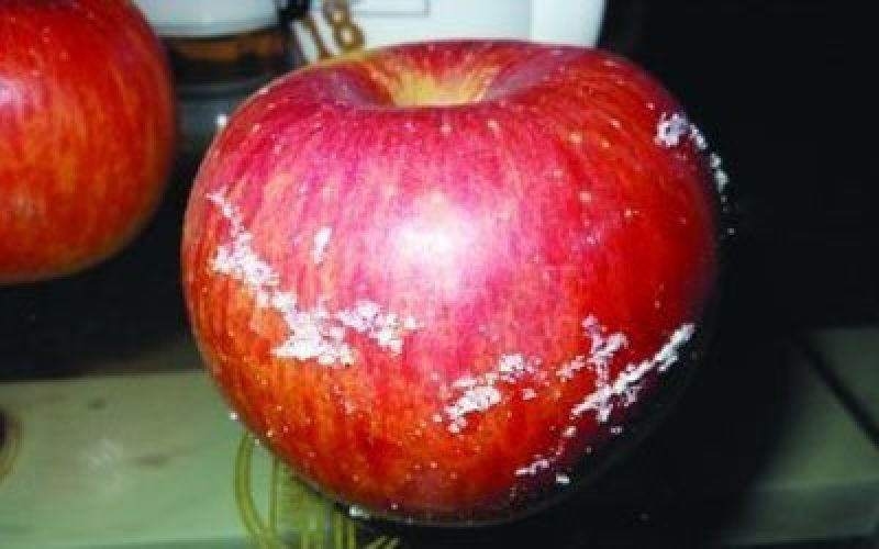 How to remove wax from apples?
