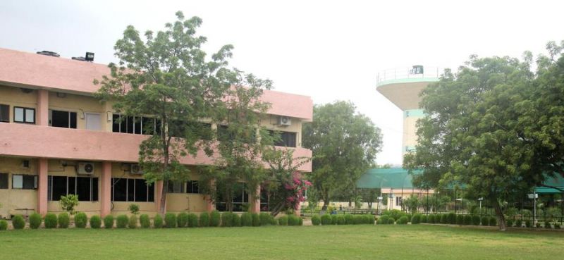 Central University of Bathinda