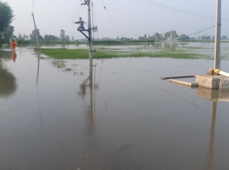 60 villages of Ferozepur affected by floods