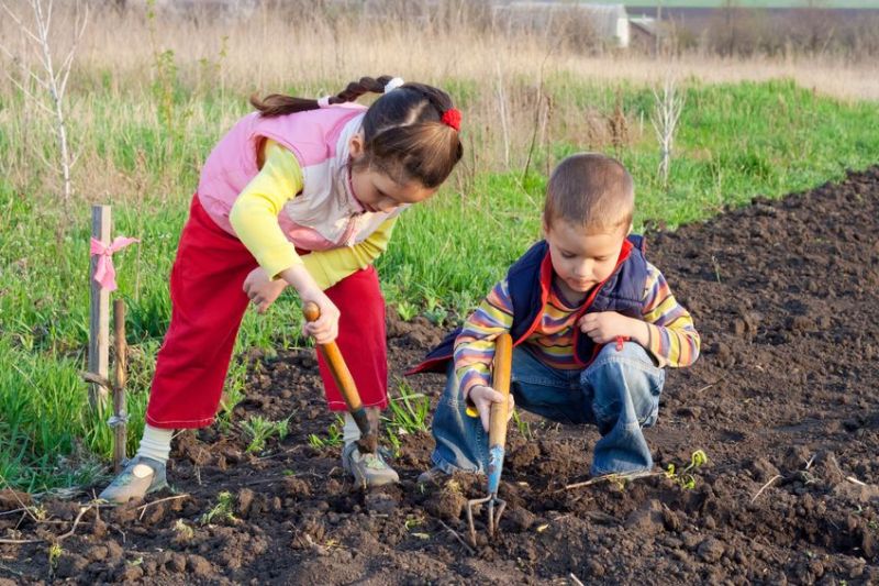 Children planting 