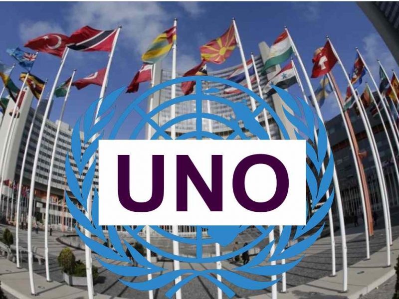 united nation organisation