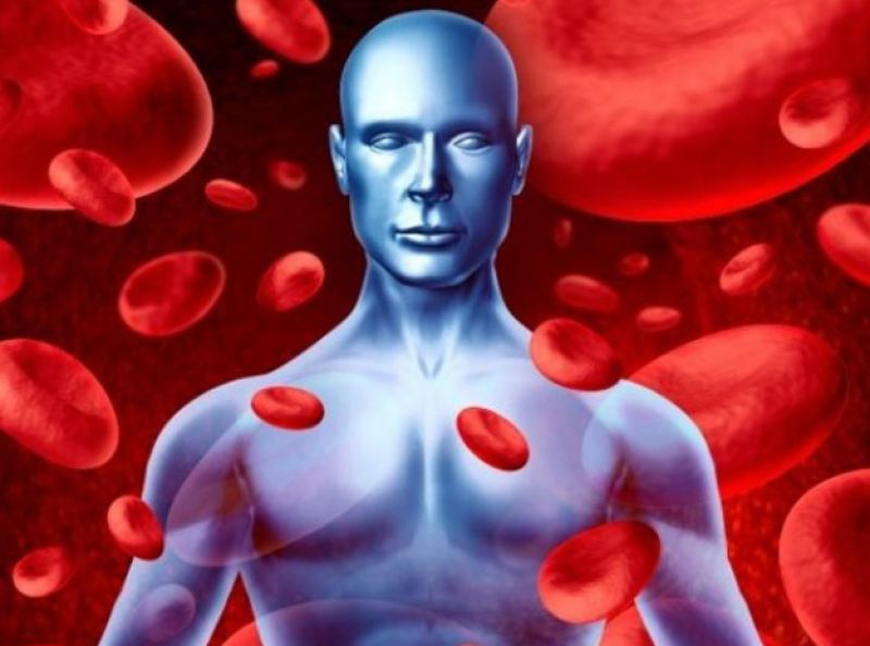 Tulsi makes blood thinner