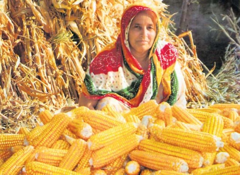 bhutta eat bhutta eat