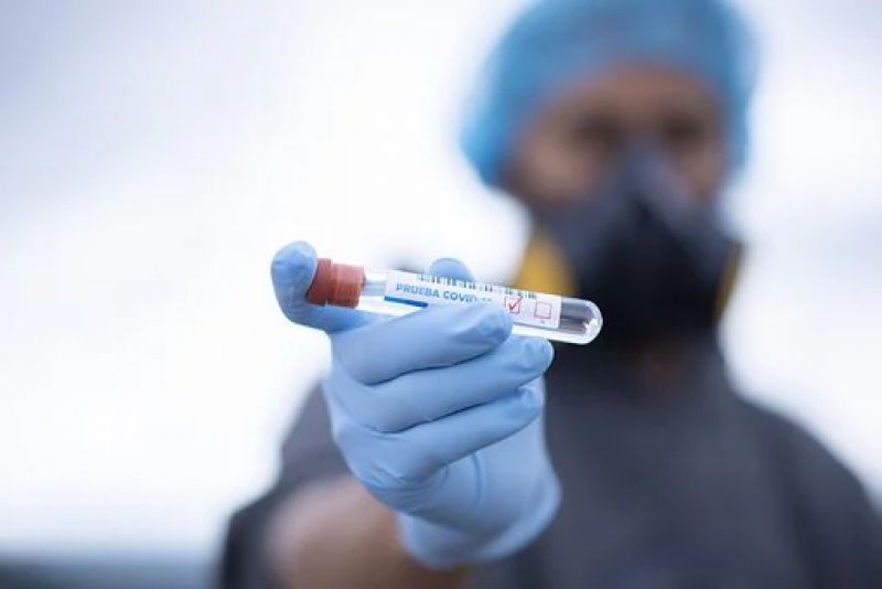 Corona Virus Corona Virus