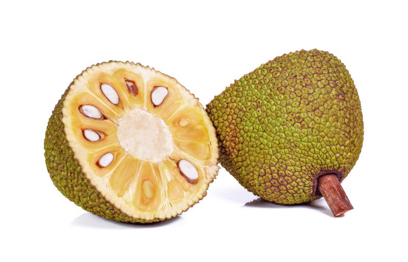  The benefits of eating jackfruit
