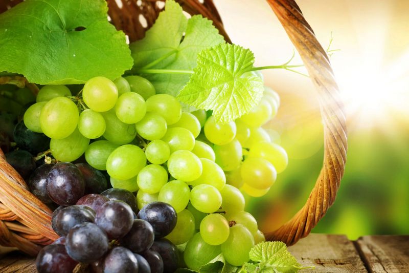Grapes