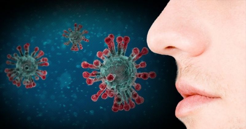 Corona virus  Corona virus