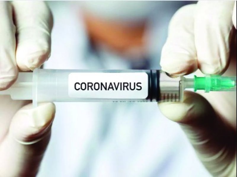 Corona Virus Corona Virus