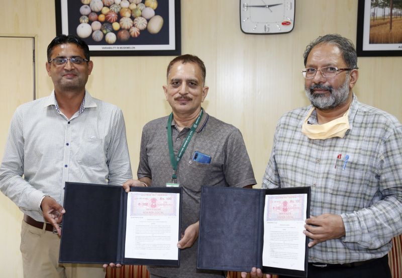 P.AU Has entered into another agreement for commercialization of vegetable varieties