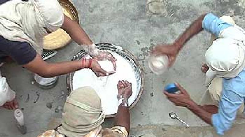 milk cheacking milk cheacking