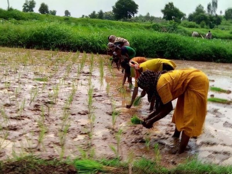 Ushaben Vasava earning 2 lakh rupees every year by organic farming