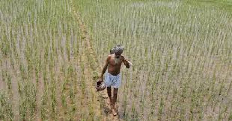 Punjab farmers Punjab farmers