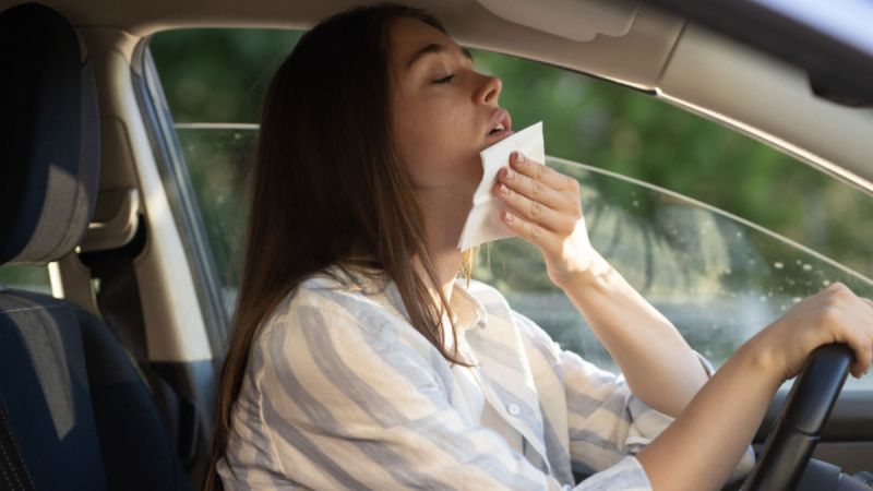 How to protect yourself from loo in summer