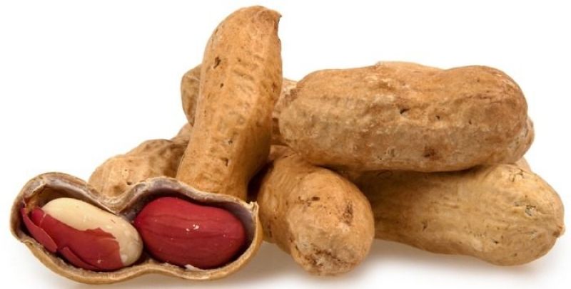 Peanut