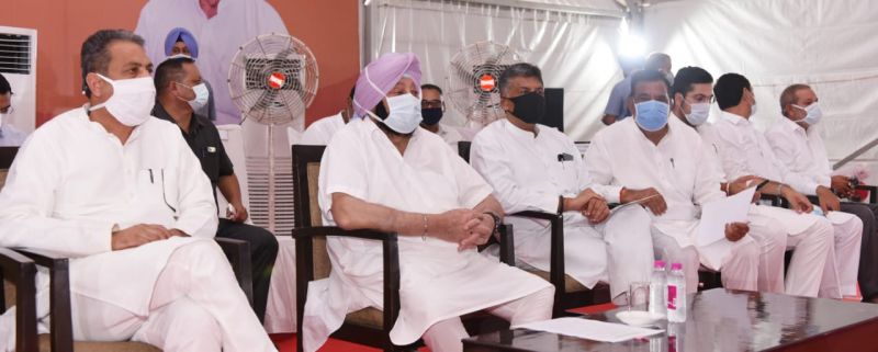 PAU College of Agriculture