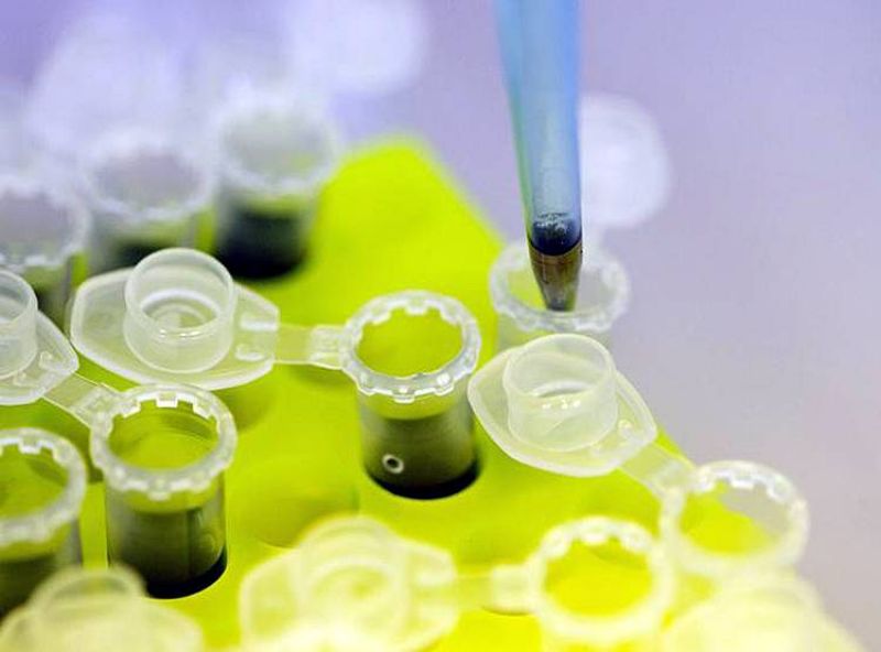 Corona Virus Corona Virus
