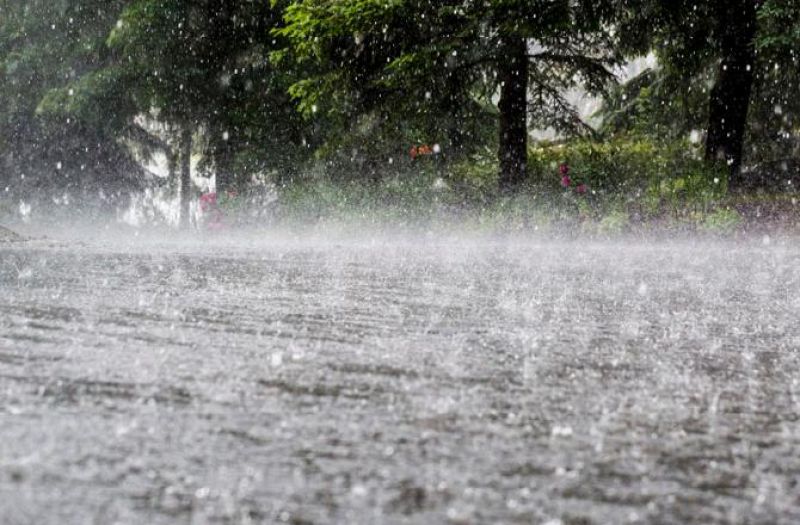 Monsoon Rains in Punjab in June