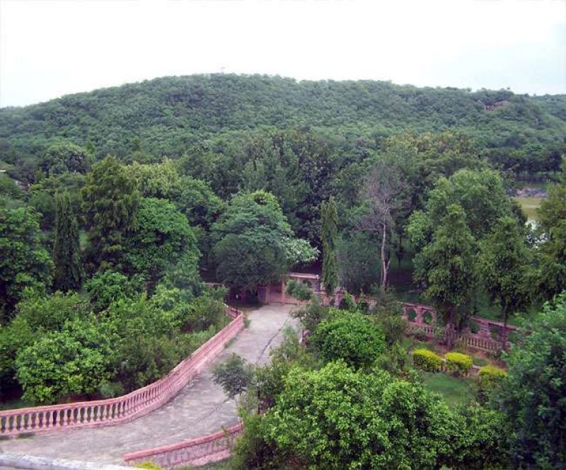 Aravali Hills