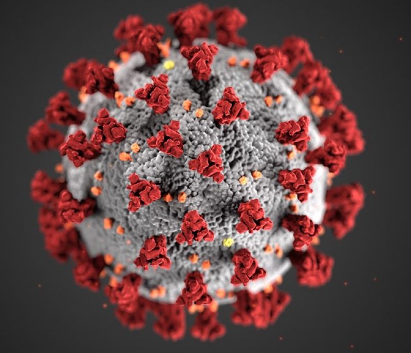 Coronavirus Coronavirus