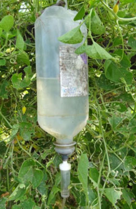 Farmer Build Drip Irrigation System Using Waste Glucose Bottles