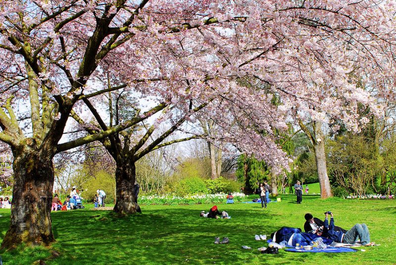 Canada Spring Season