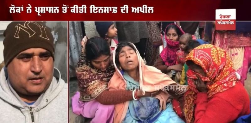 straydogs snatched and killed the innocent child