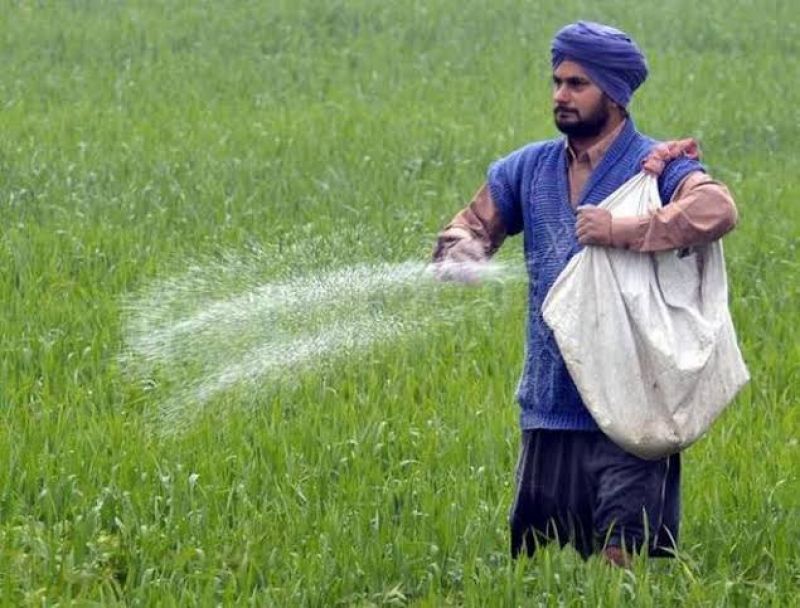 Farmer Farmer