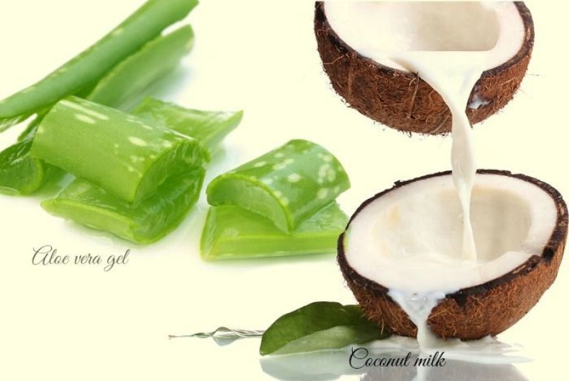 Aloe vera Gel and Coconut Milk Aloe vera Gel and Coconut Milk