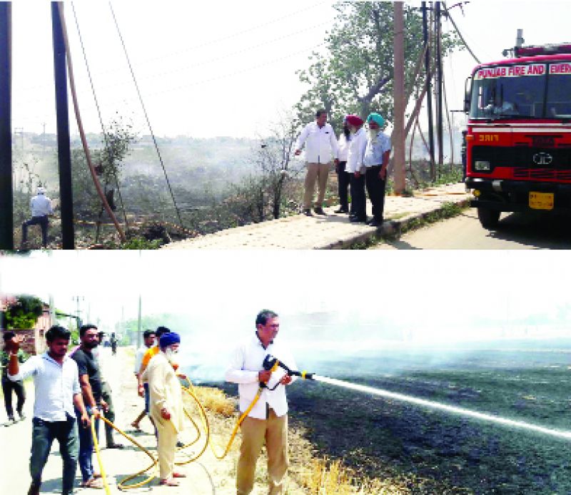 Crops Burn into ashes