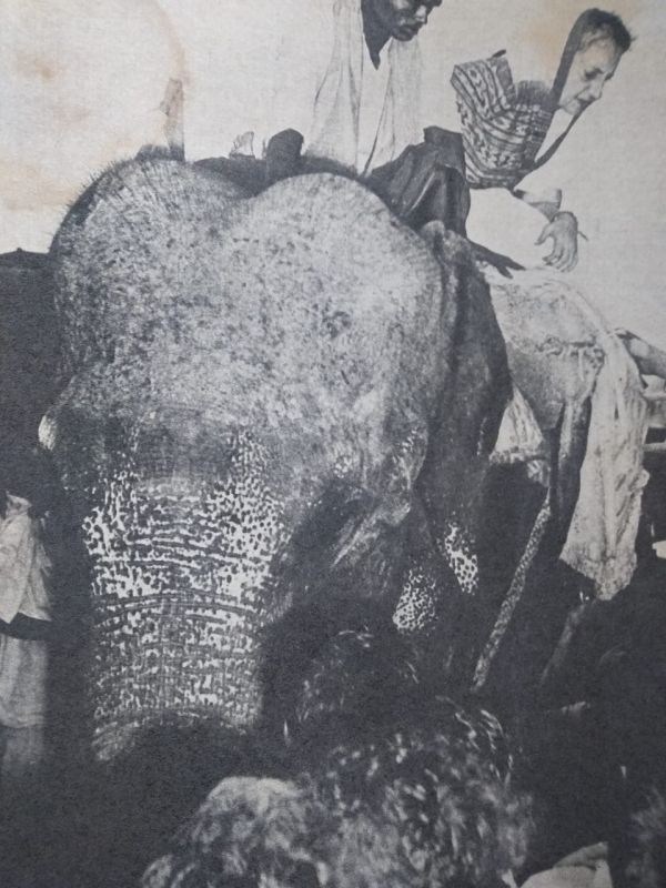 file photo file photo