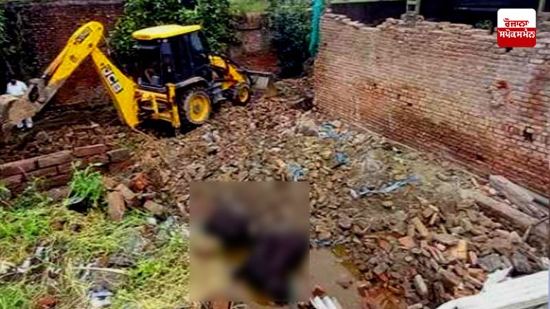 12 buffaloes die in roof collapse of dairy complex in Ludhiana