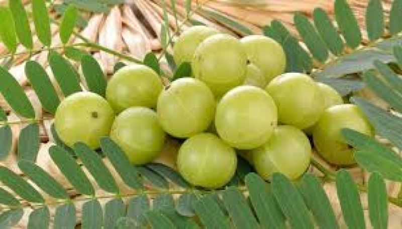 Face beauty benefits  Face beauty benefits